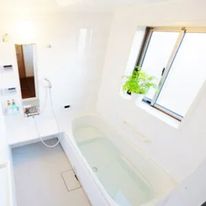 【豊島区の浴室清掃】はとしまハウスクリーニング～お風呂場のハエ～