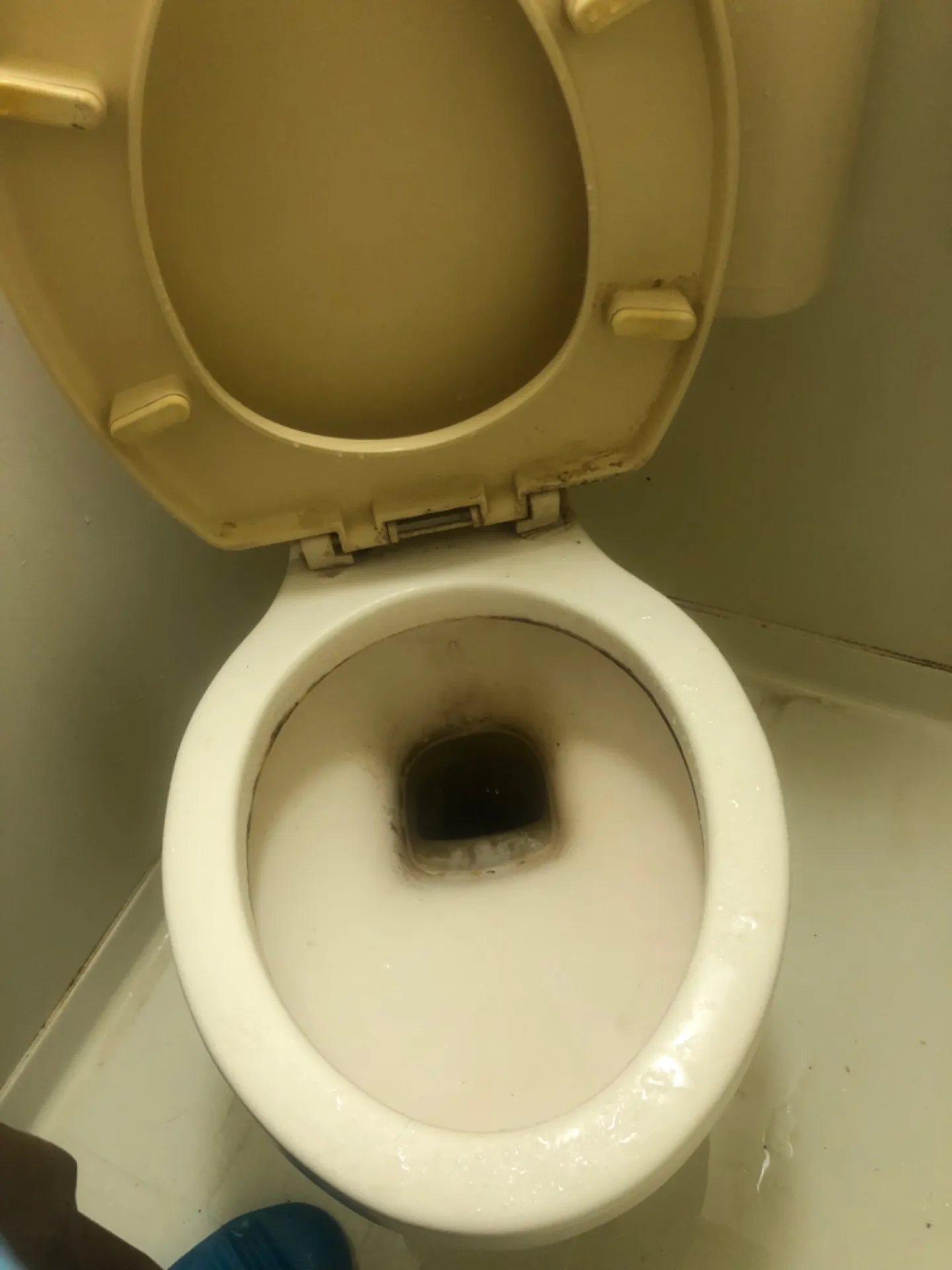 【豊島区のトイレ清掃】はとしまハウスクリーニング