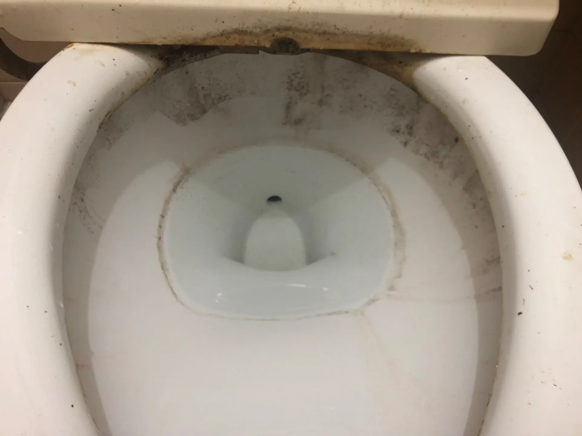 【豊島区のトイレ清掃】はとしまハウスクリーニング～固まったさぼったリングの落とし方～