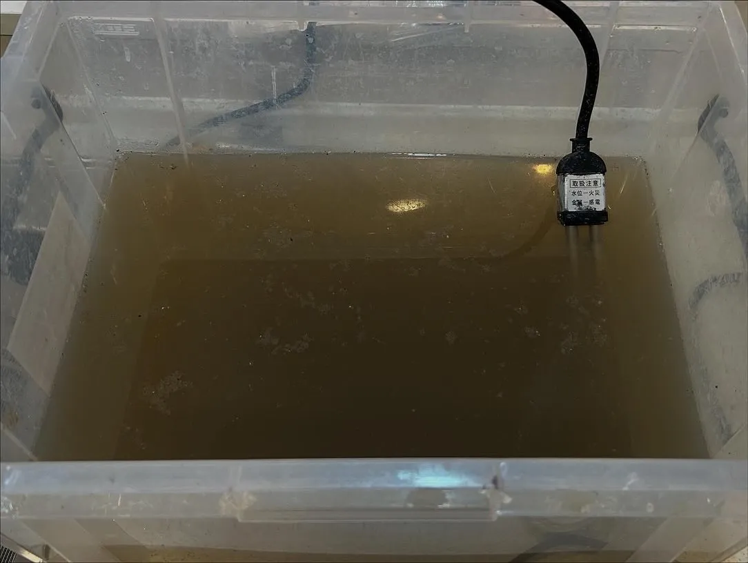 年末大掃除の季節となりましたね🚀