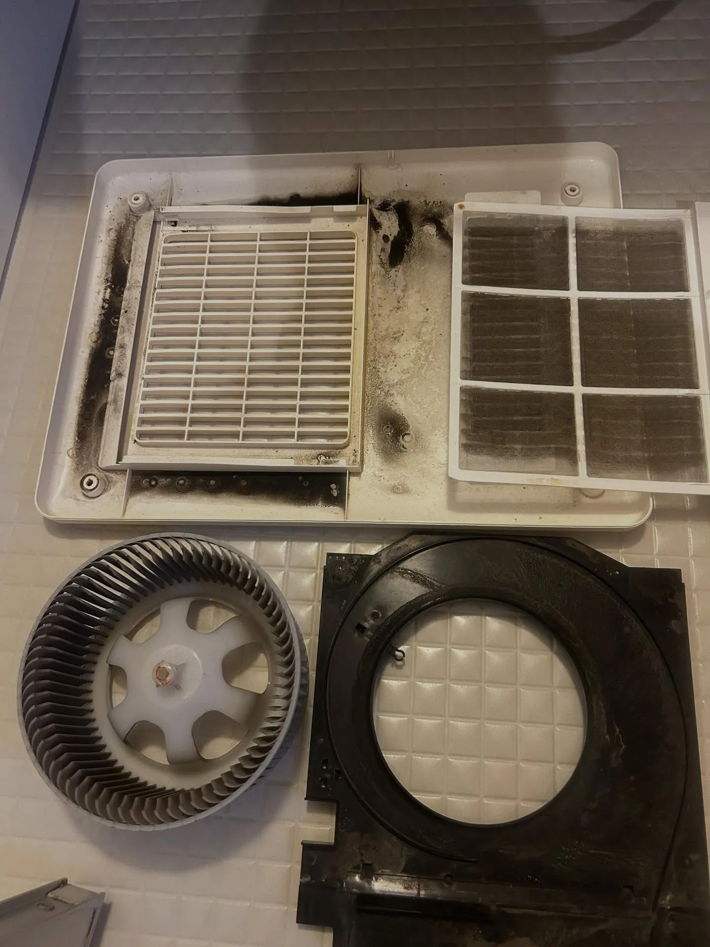 浴室の多機能換気扇から何か黒いのが落ちてきた😰