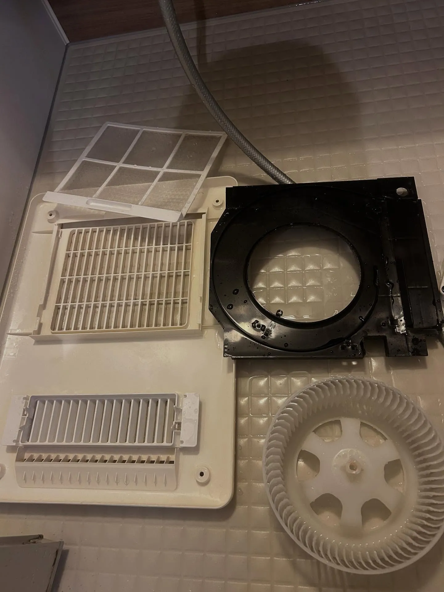 浴室の多機能換気扇から何か黒いのが落ちてきた😰