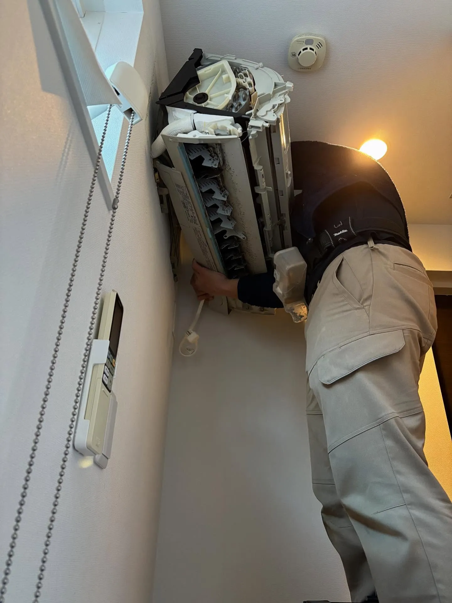 リアルな現場をお届けします🥳