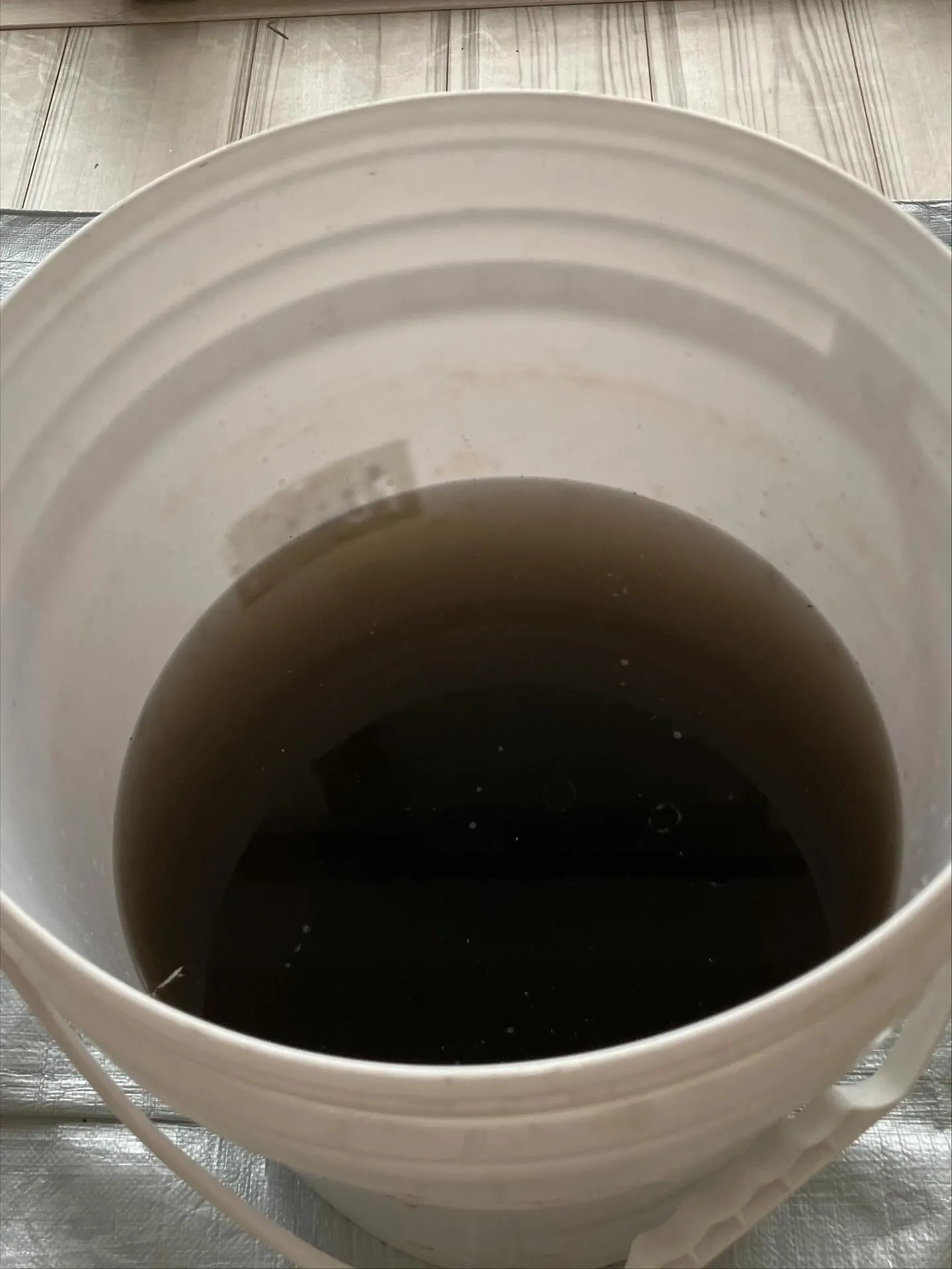 東京タワー🗼 🆚 スカイツリー🌃