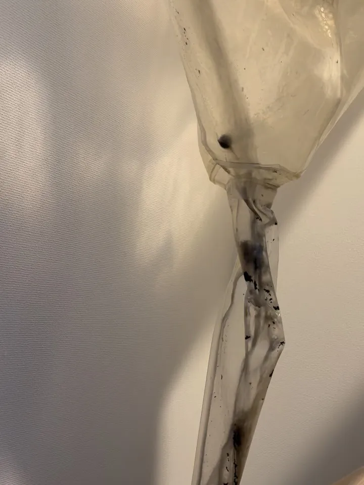 リアルな現場をお届けします🥳